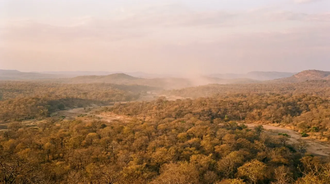 Journey landscape